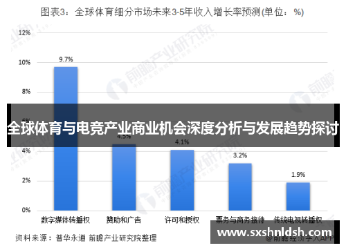 全球体育与电竞产业商业机会深度分析与发展趋势探讨