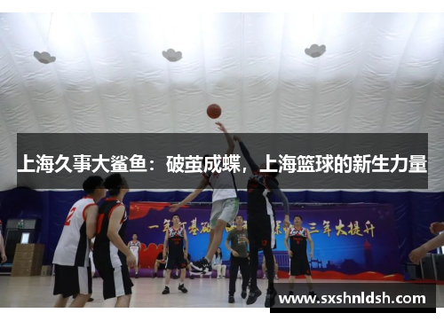 上海久事大鲨鱼:破茧成蝶,上海篮球的新生力量 上海久事大鲨鱼:破茧成蝶,上海篮球的新生力量