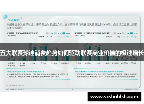 五大联赛球迷消费趋势如何驱动联赛商业价值的极速增长 五大联赛球迷消费趋势如何驱动联赛商业价值的极速增长